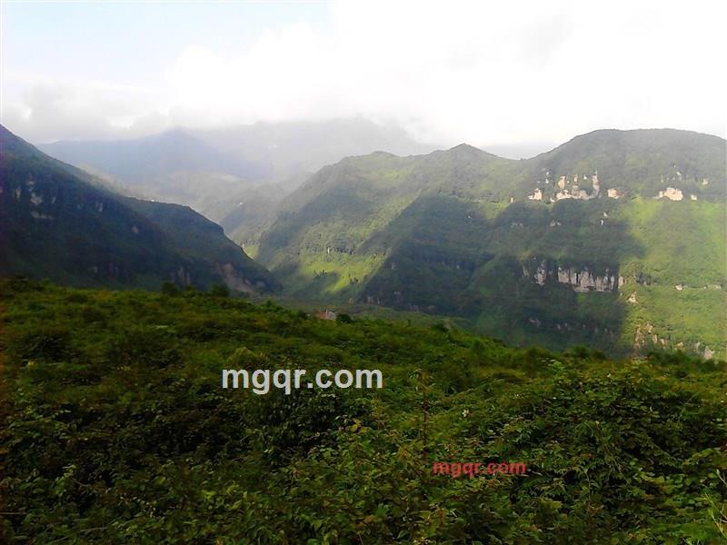  张 `少爷`的第5张照片