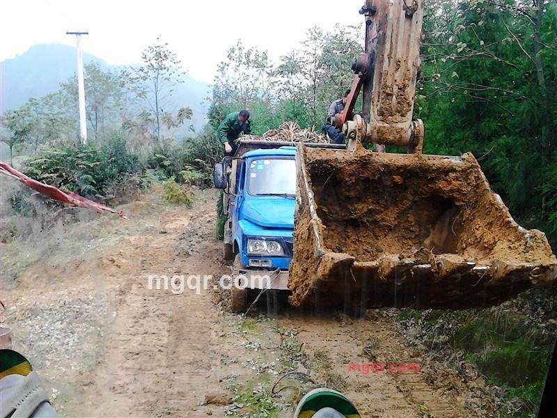  张 `少爷`的第1张照片