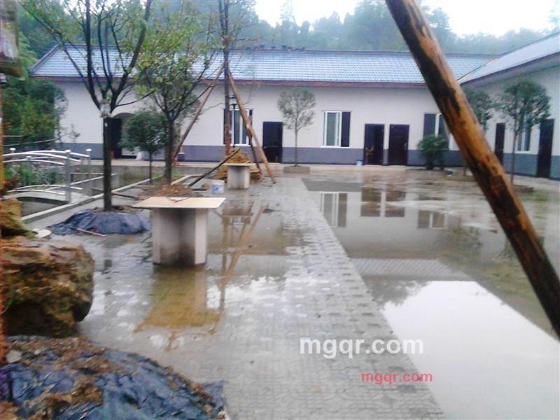  张 `少爷`的第3张照片