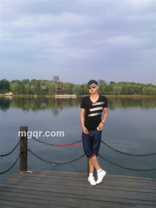 断-肠-草的第2张照片