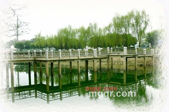 守护你的一生的第6张照片