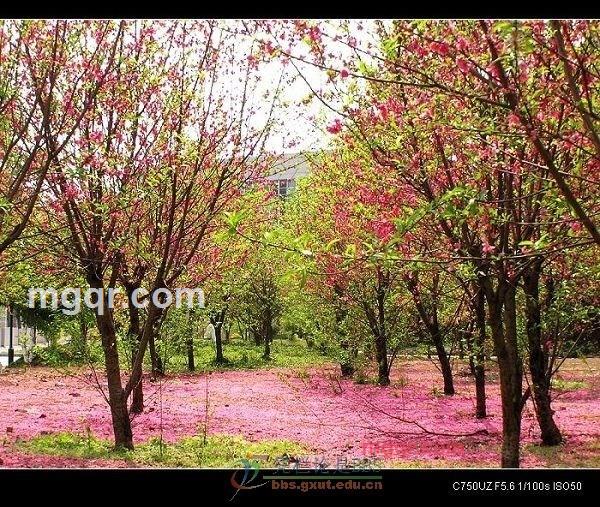 守护你的一生的第5张照片