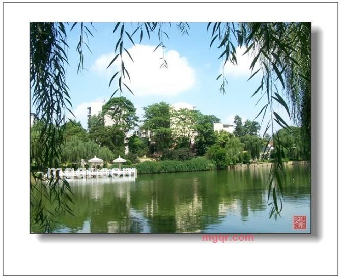 守护你的一生的第3张照片