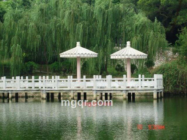 守护你的一生的第2张照片