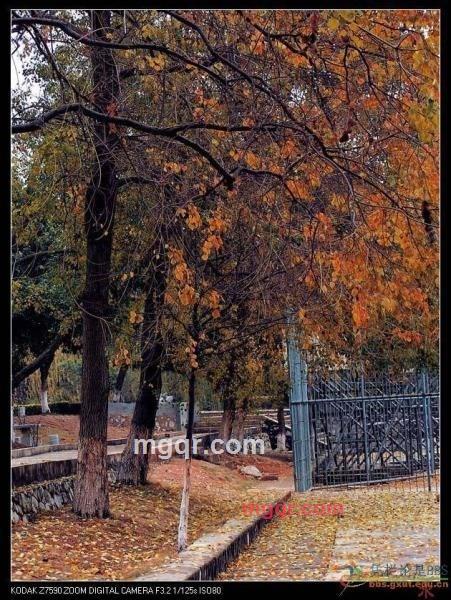 守护你的一生的第4张照片