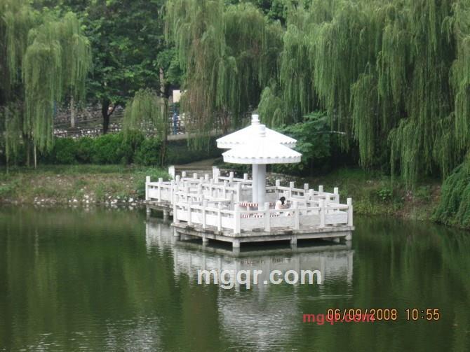 守护你的一生的第1张照片