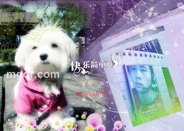 熊子强的第12张照片