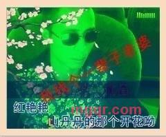 熊子强的第8张照片