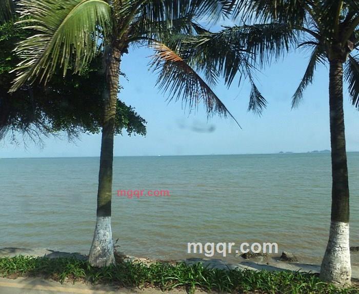 dpn0021的第22张照片