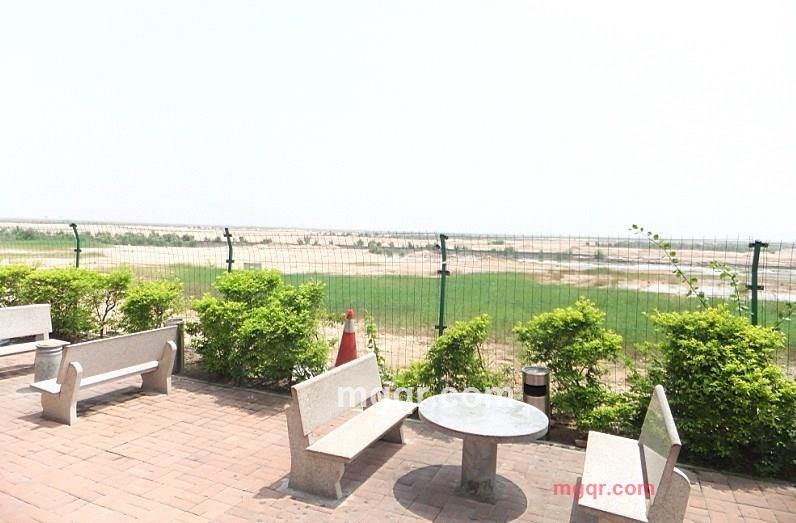 dpn0021的第16张照片