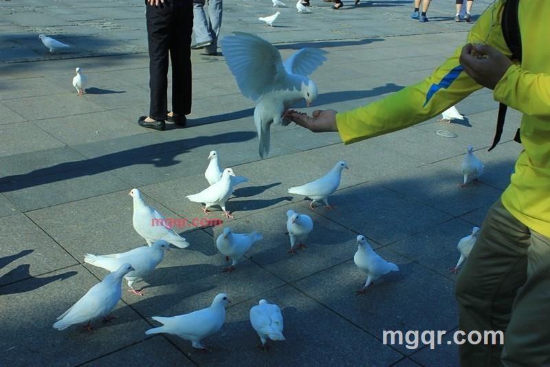 三余无梦生的第2张照片