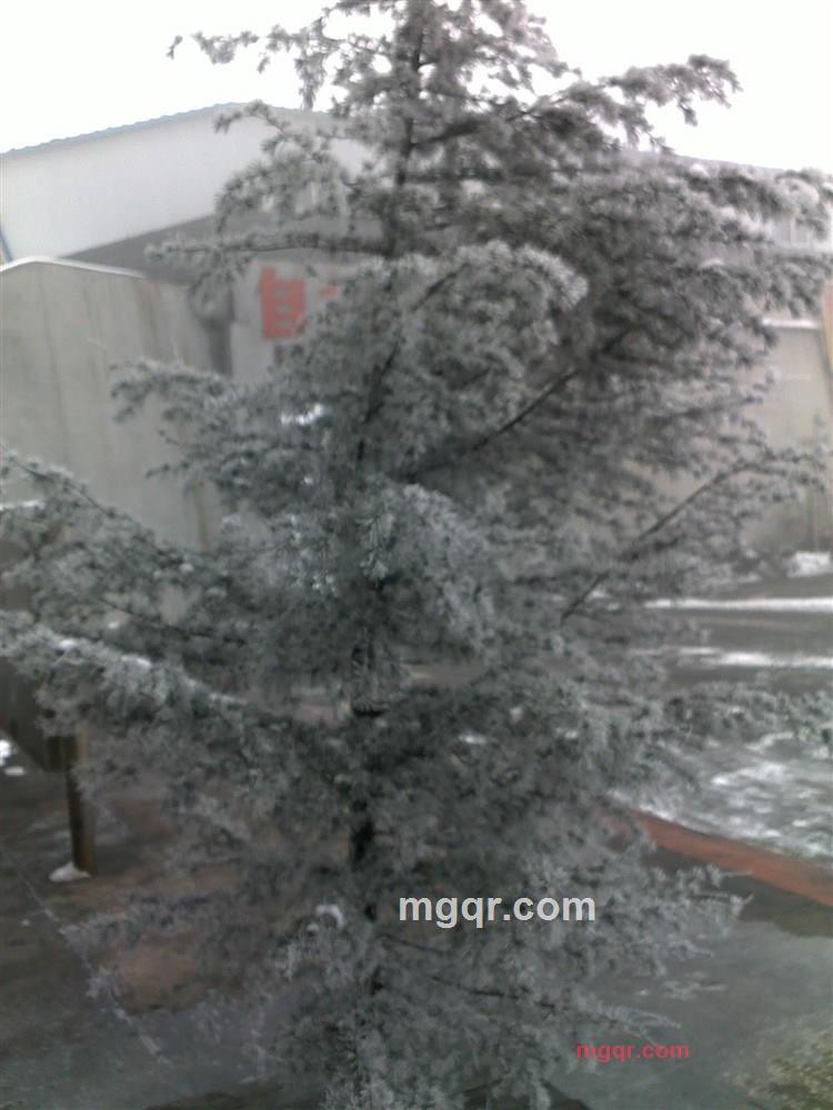 zhaoyunlong0720的第2张照片