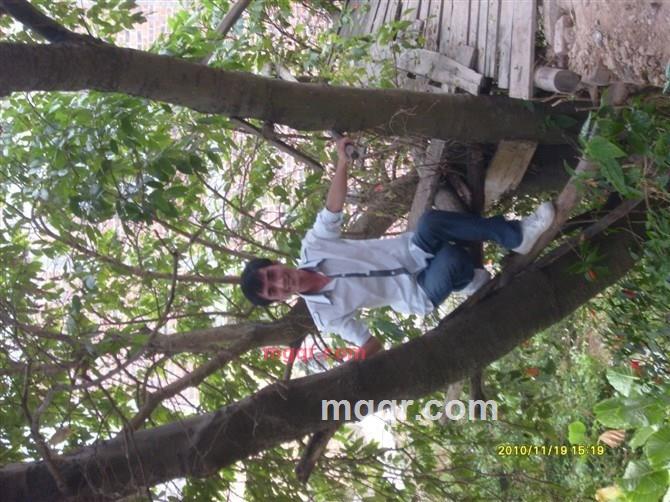 深圳-焜的第2张照片