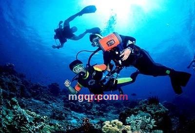 夜-枭的第2张照片