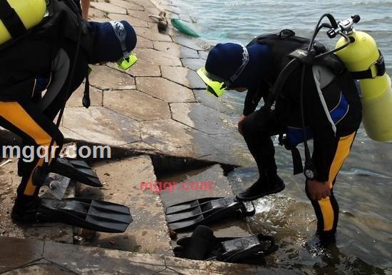 夜-枭的第1张照片