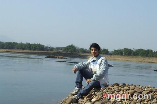 蚊子的第2张照片