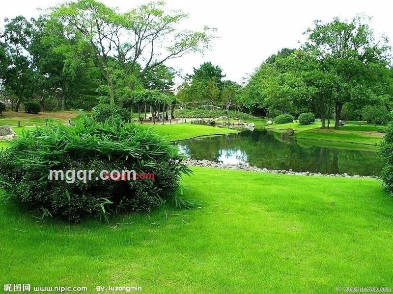 玫瑰馨儿的第1张照片