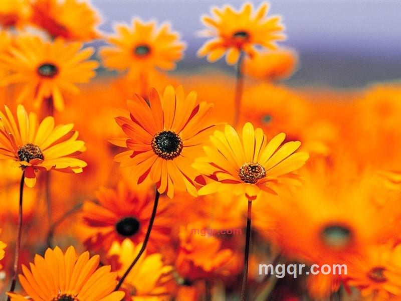 爱玩吗的第1张照片