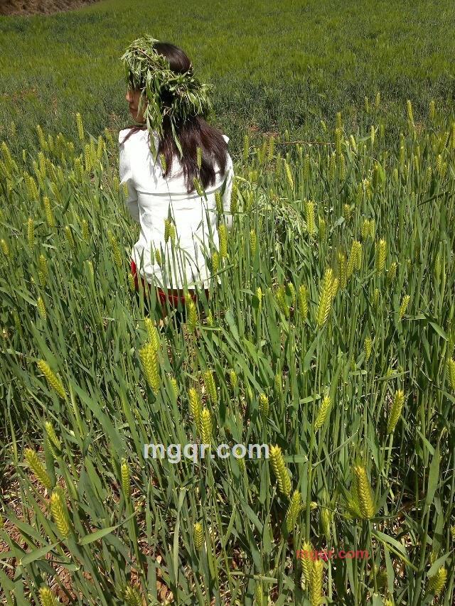美好的都是回忆的第2张照片