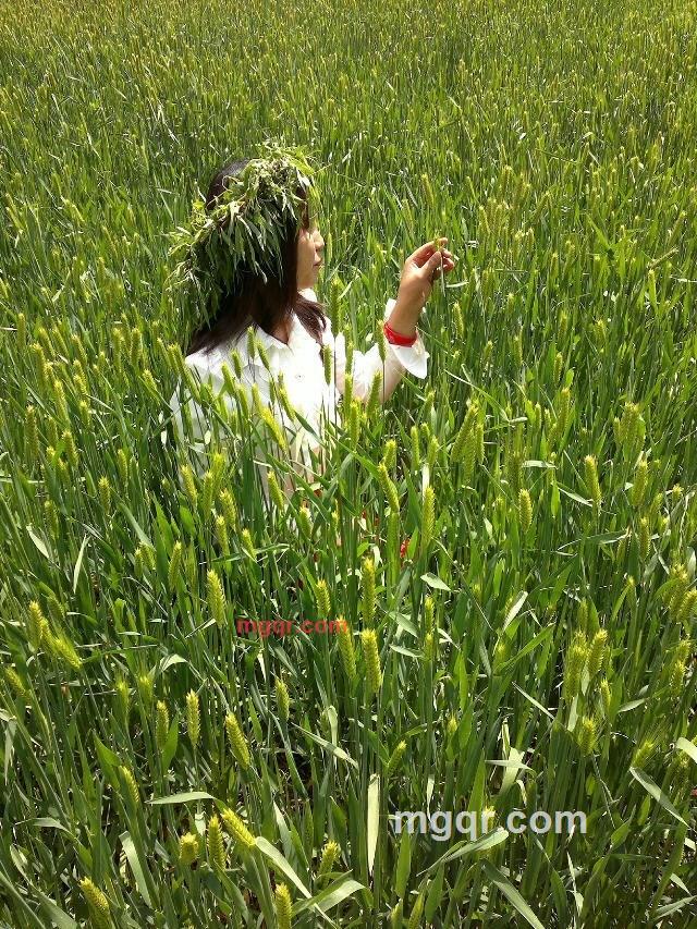 美好的都是回忆的第1张照片