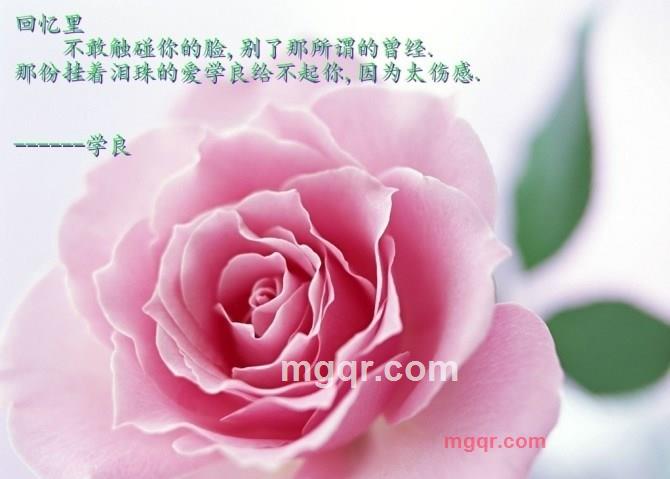 E夜诉真情的第8张照片