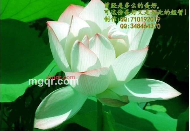 E夜诉真情的第1张照片