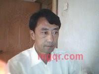 郁金香a的第2张照片