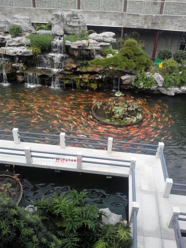 梁念念我爱你的第5张照片