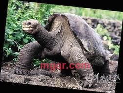 haoren7-1的第28张照片