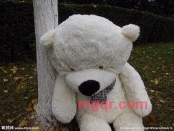 haoren7-1的第26张照片