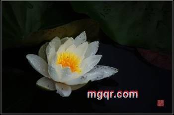 haoren7-1的第21张照片