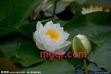 haoren7-1的第20张照片