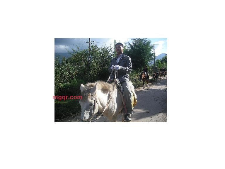 迷途12的第1张照片