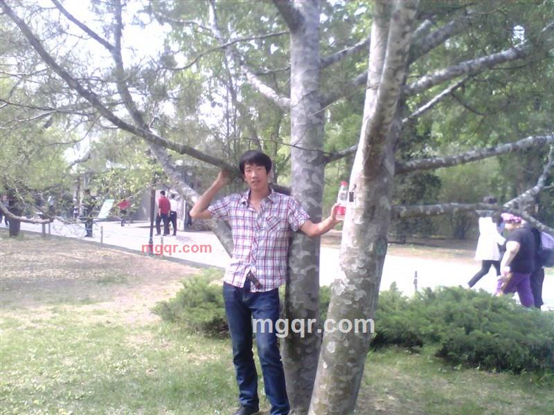 暮光之夜降的第4张照片