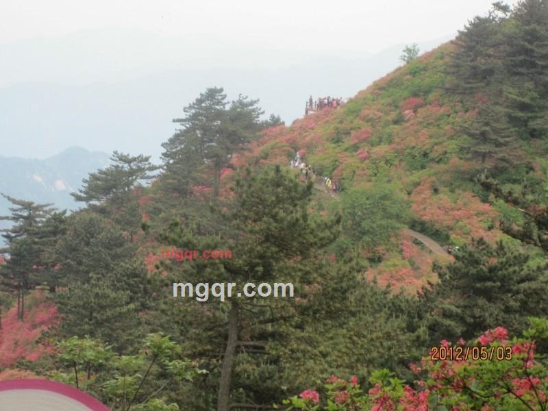 红美美的第4张照片