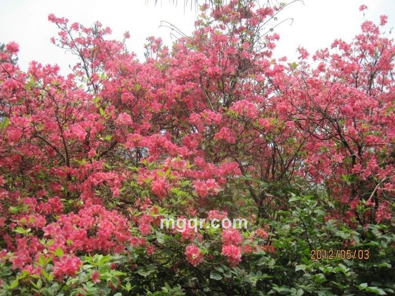 红美美的第3张照片