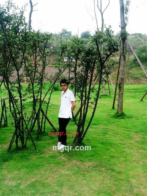 真心寻爱，你为何不来的第3张照片