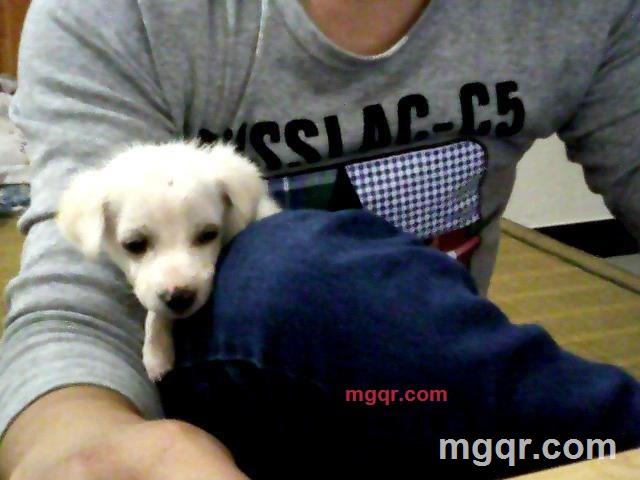 激情夜晚等你的第1张照片