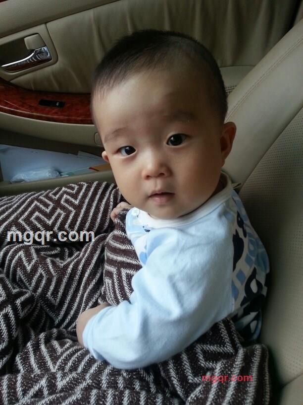 流浪熊的第1张照片