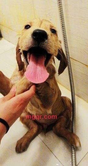 二三02久四久2四四的第1张照片