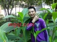 幸福叶子的第1张照片