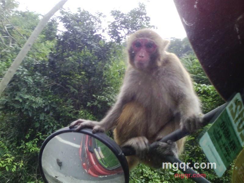 弟弟爱上姐姐啦的第9张照片