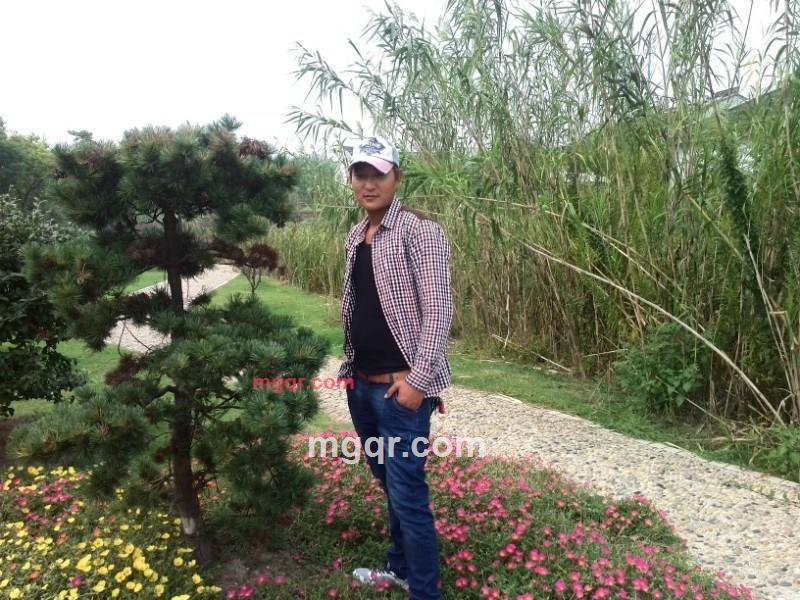 六月的雨(孤雪)的第6张照片