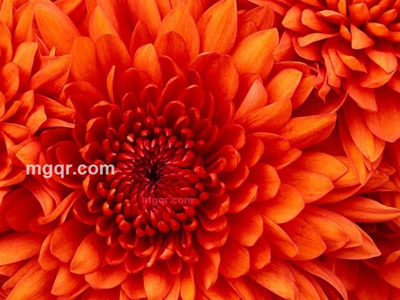 花狼道的第1张照片