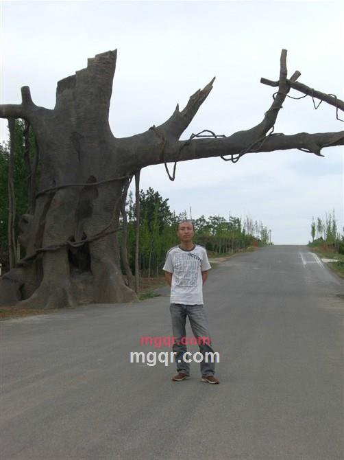 爬上墙头坐等红杏的第1张照片