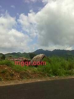 人需情悦的第7张照片