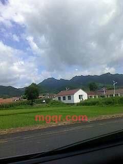 人需情悦的第6张照片