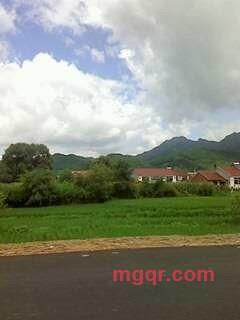 人需情悦的第5张照片