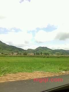 人需情悦的第3张照片