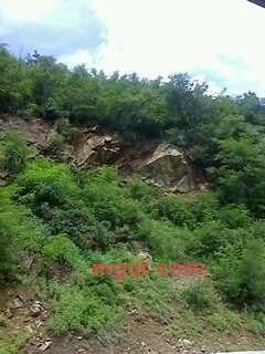 人需情悦的第2张照片